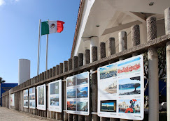 The Mexican Cultural Institute
