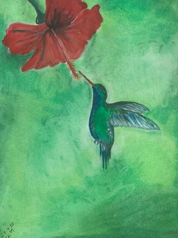 Gianni Martinez Hummingbird