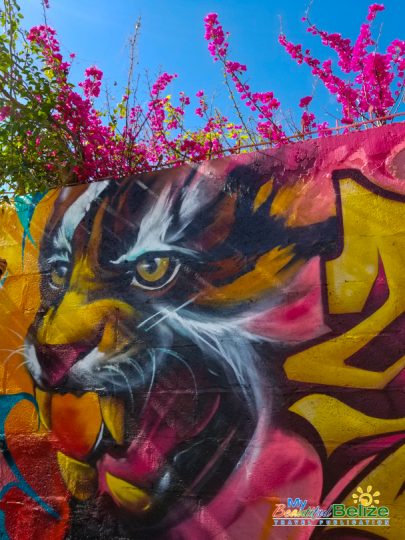 Corozal Graffiti Festival