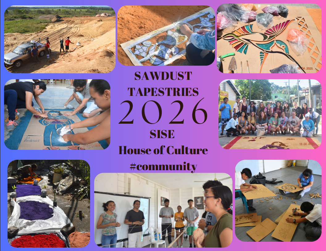 SISEHOC Karla Pinelo