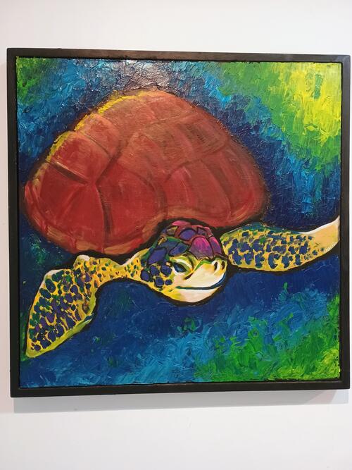 Darlin Polanca Turtle